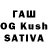 Галлюциногенные грибы GOLDEN TEACHER Sasuke Uchica