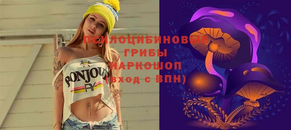 соль ск Мегион