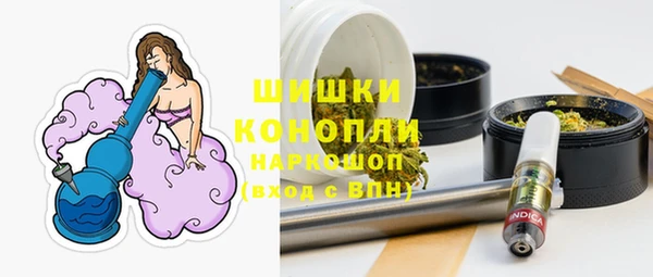 ПСИЛОЦИБИНОВЫЕ ГРИБЫ Медвежьегорск