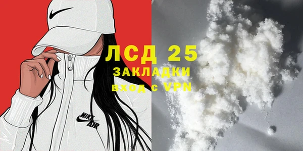ПСИЛОЦИБИНОВЫЕ ГРИБЫ Медвежьегорск