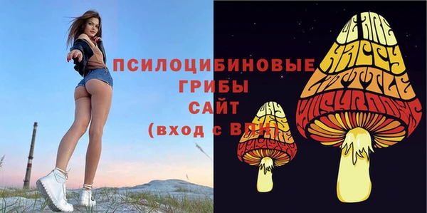 соль ск Мегион