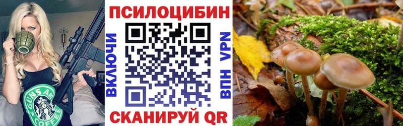 Псилоцибиновые грибы прущие грибы Камбарка
